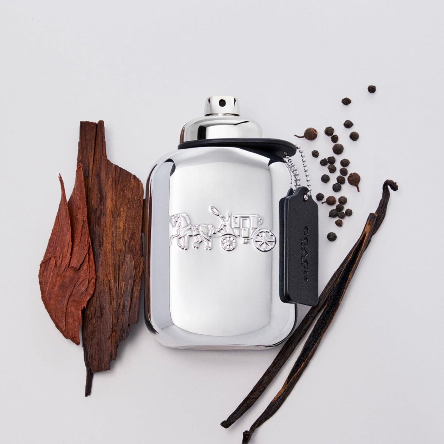 Coach Platinum Eau de Parfum - Long Lasting Fragrance with notes of Pineapple, Clary Sage & Vanilla Leather - Woody & Spicy - 3.