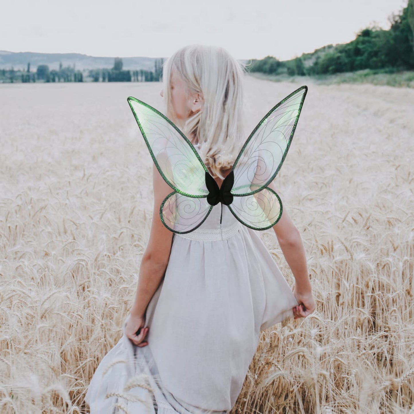 Lucakuins Fairy Wings for Girls Halloween Costumes,Butterfly Fairy Wings for Fairy Costumes Sparkle Fairy Princess Wings Party Favor (Black fairy wings)