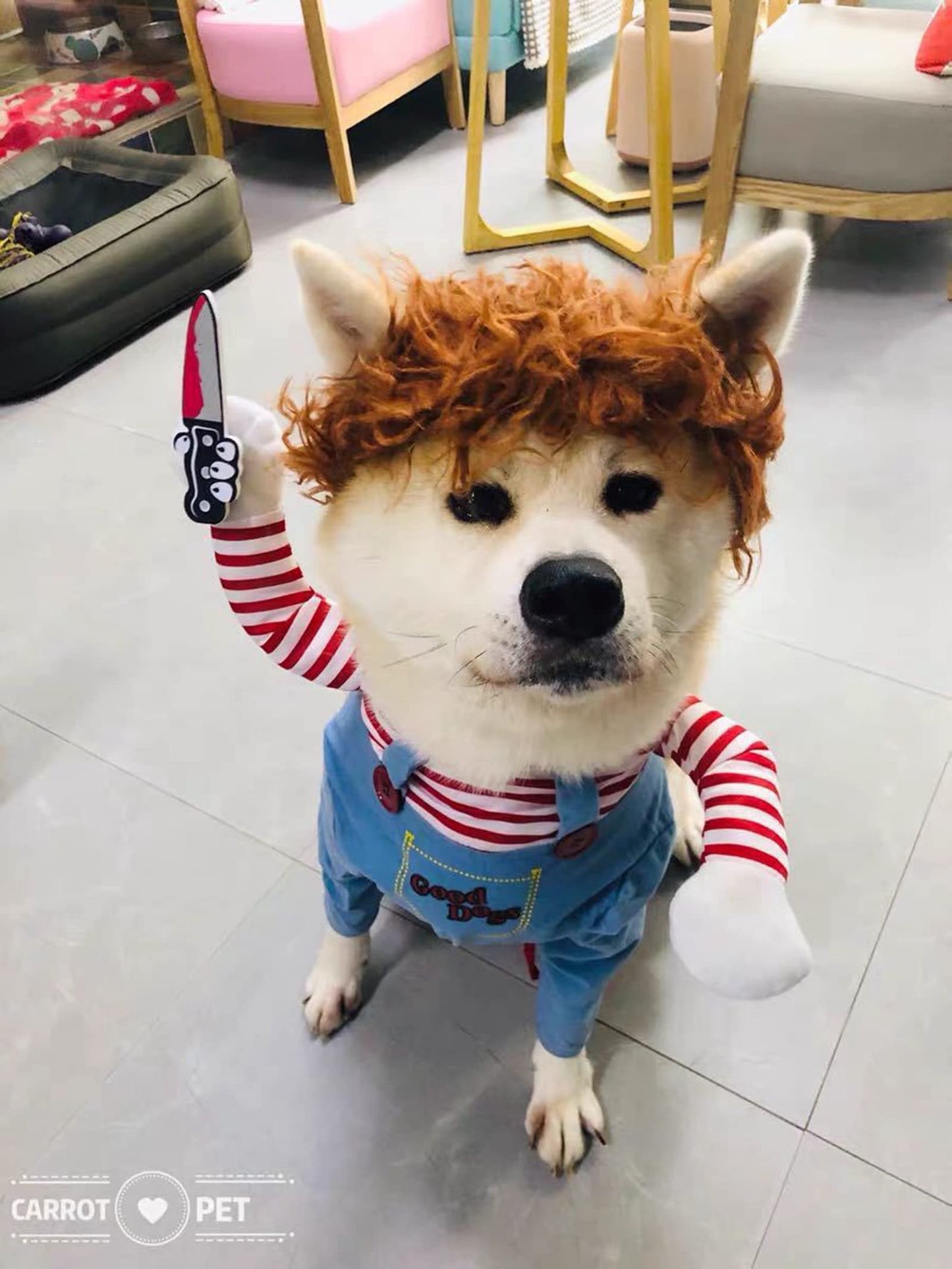 Pet Deadly Dog Cosplay Halloween Christmas Funny Costume for Small, Medium & Large Dogs (X-Large)