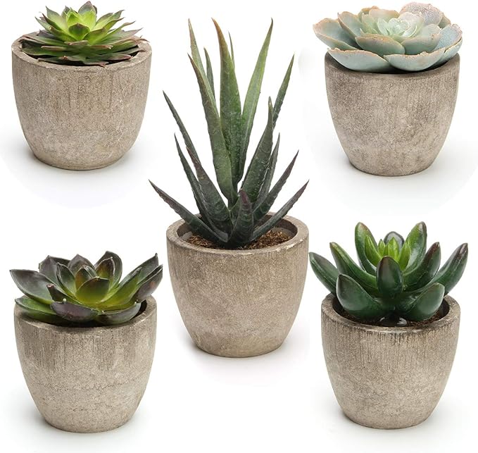 Coitak Artificial Succulent Plants Potted, Assorted Decorative Faux Succulent Potted Fake Cactus Cacti Plants with Pots, S...