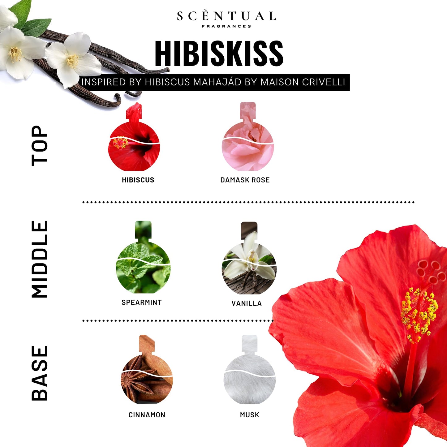 Scentual Fragrances, Luxury Perfume Oil, Ultra-Concentrated Women Roll-On Fragrance Oil, Long Lasting Rollerball Travel Mini Perfume, Vegan, Alcohol & Cruelty Free 10ml (HibisKiss)