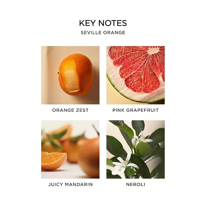 NEST New York Perfume Oil Discovery Set - Includes Balinese Coconut, Turkish Rose, Seville Orange, Indian Jasmine & Madagascar Vanilla - Vegan & Cruelty Free