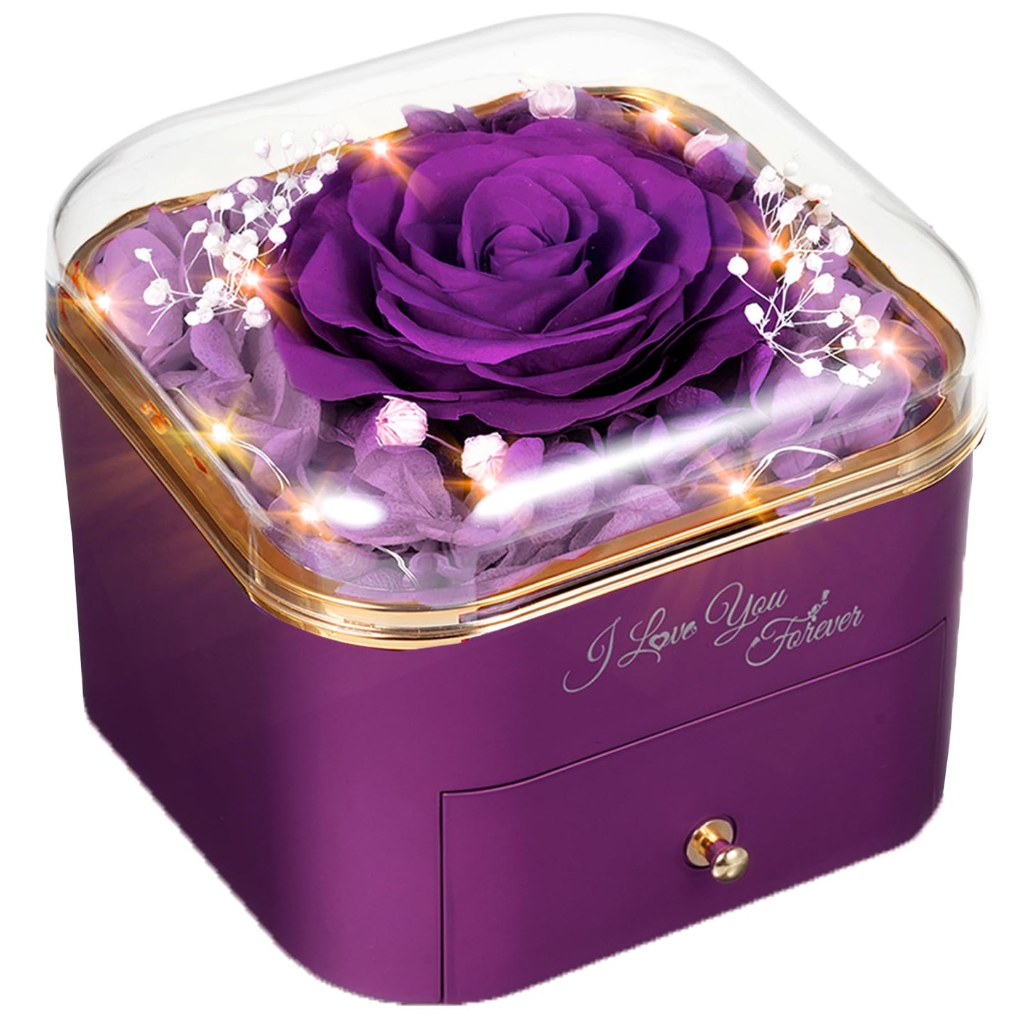 Forever Preserved Rose for Women Mum Wife Girlfriend Eternal Rose Flower Gift Box with Necklace for Her Ideal for Valentines Day Mother's Gifts Birthday for Women Anniversary