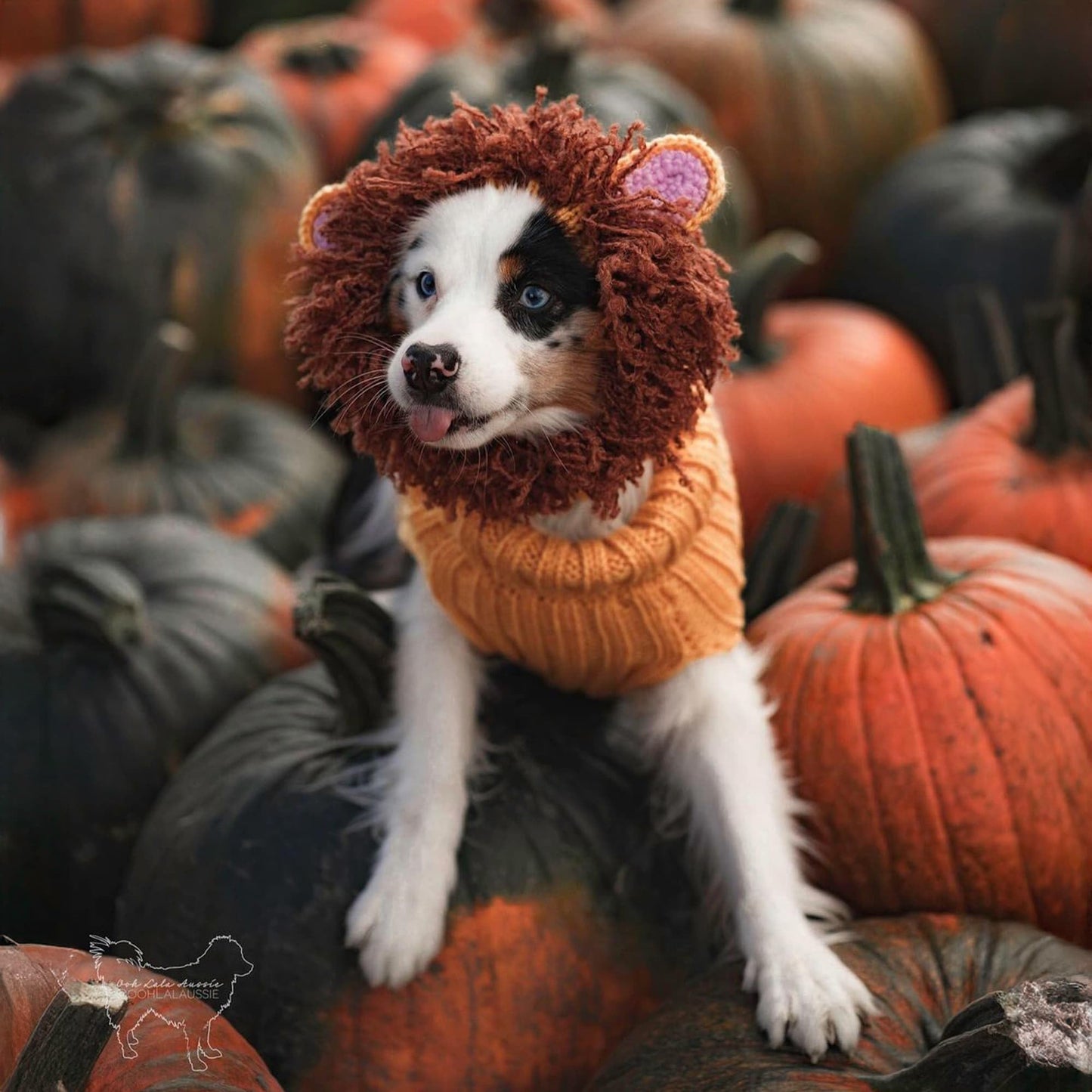 Zoo Snoods Lion Costume - Knit Mane Dog Snood Ear Wrap for Pets, Warm Neck Cover for Halloween and Winter (Medium)