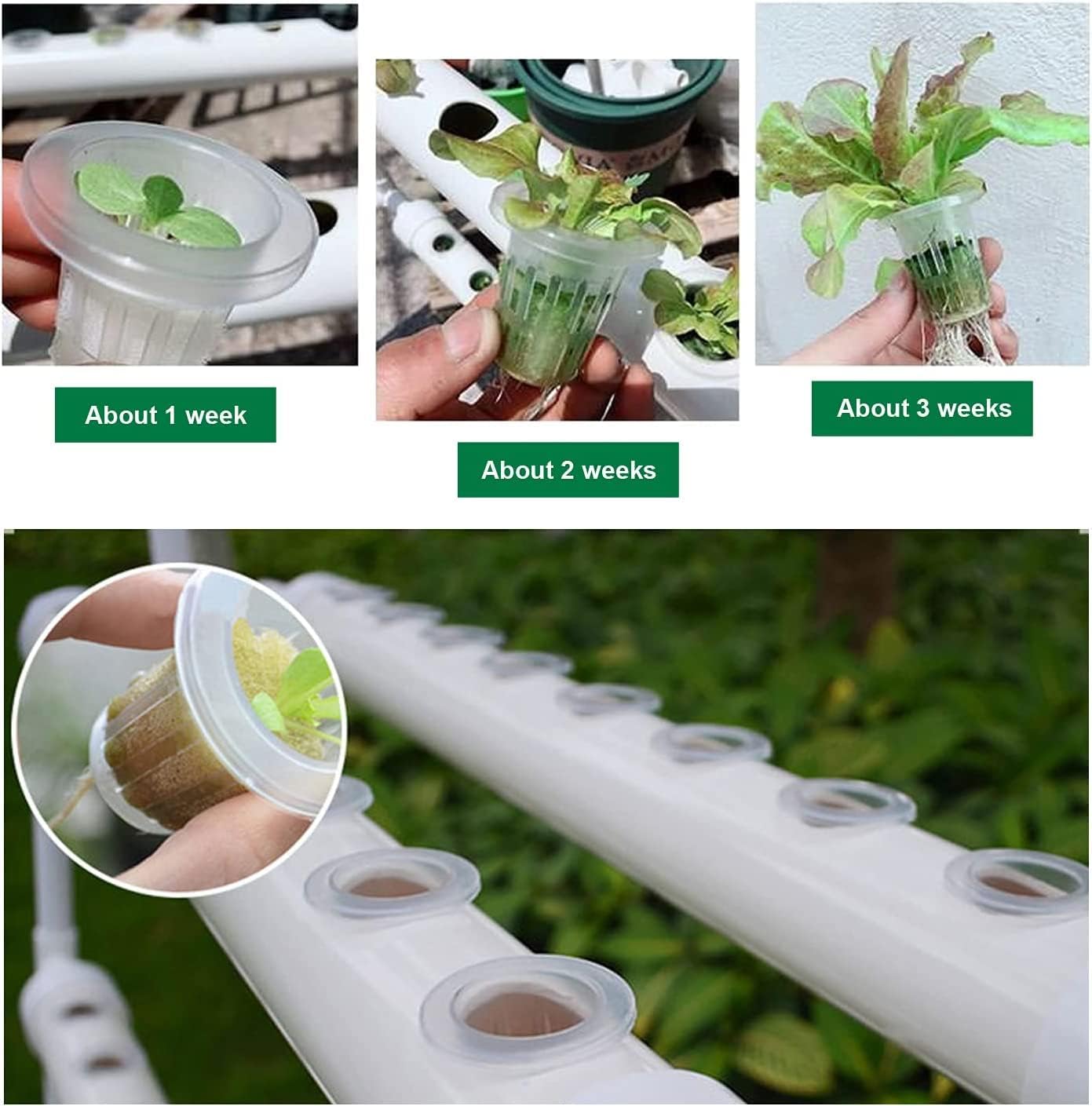 INTBUYING Hydroponics Growing System 72 Holes 8 Pipes 1 Layer Plant Site Grow Kit Hydroponic Gardening System with 110V Water Pump, Nest Basket, Sponge for Leafy Vegetables
