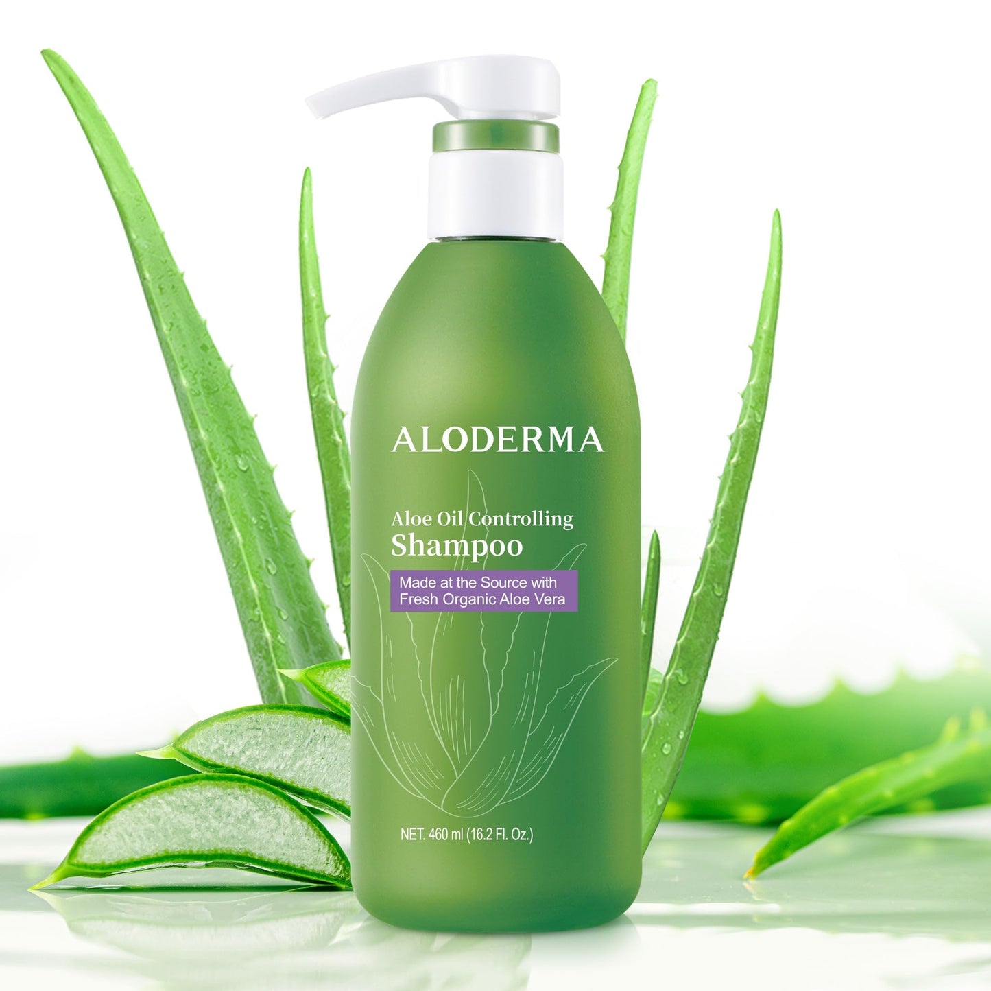 Aloderma Oil Controlling Shampoo Made with Freshly Harvest, Organic Aloe Vera for Oily Hair & Scalp - Infused with Tea Tree Oil