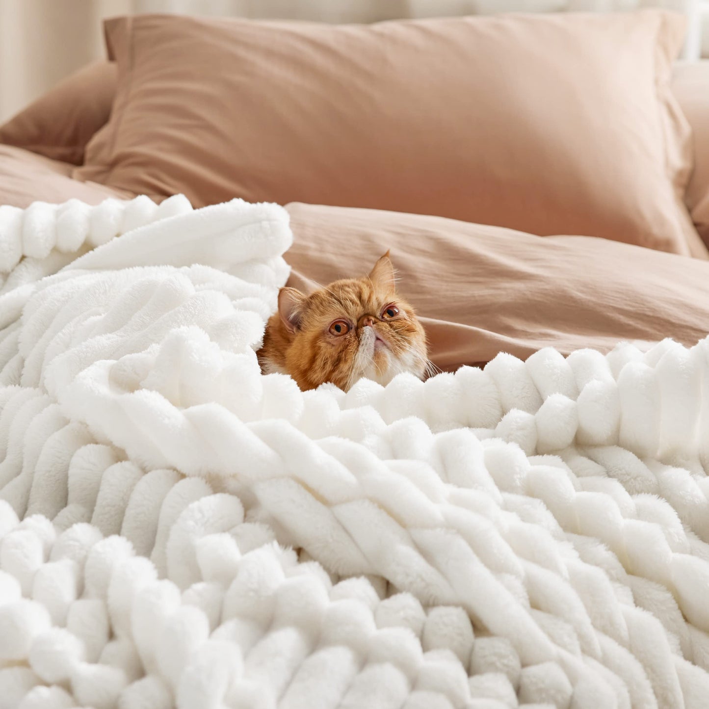 Bedsure GentleSoft White Throw Blanket for Couch - Cozy Blanket for Women, Cute Fleece Throws for Girls, Teacher Gifts Birthday Gifts for Women Men Mom, Room Home Dorm Decor, Off White, 50x60 Inches