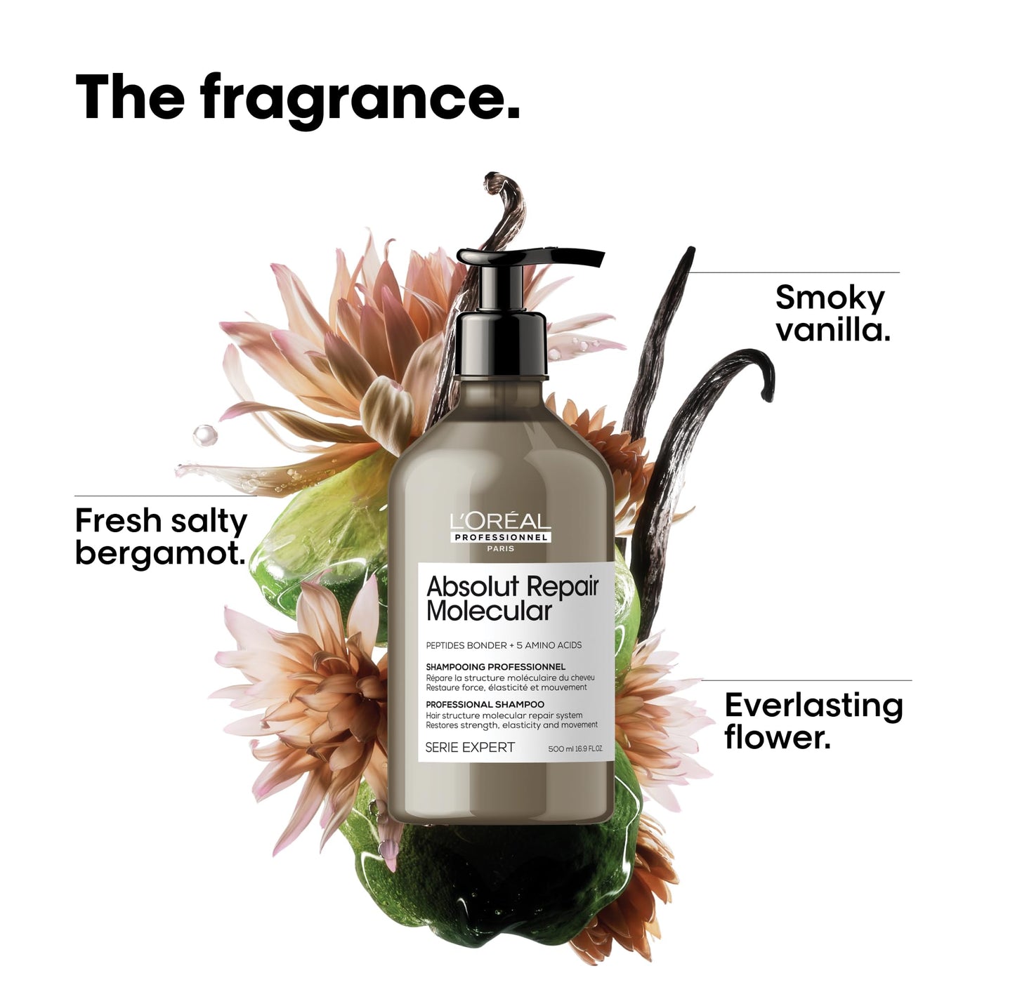 L'Or  al Professionnel Paris Absolut Repair Molecular Shampoo - Repairs Damage & Restores Strength For All Damaged Hair, With Pe