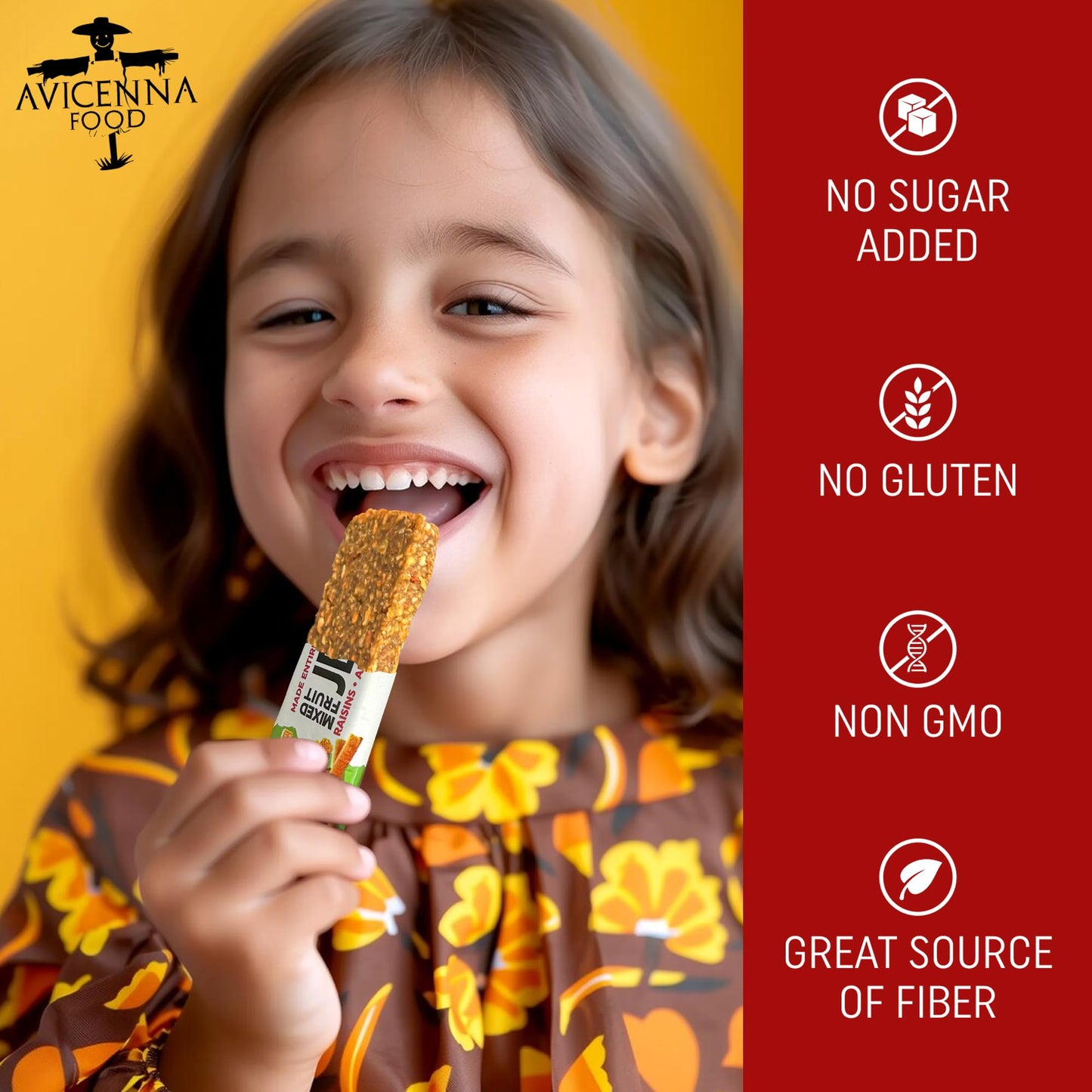 AVICENNA FOOD Variety Pack Natural Fruit Bar, No Added Sugar, Gluten Free, Non GMO, High Fiber Healthy Snacks for Adults and Kids, dried Fruit Jerky (12 Pack)