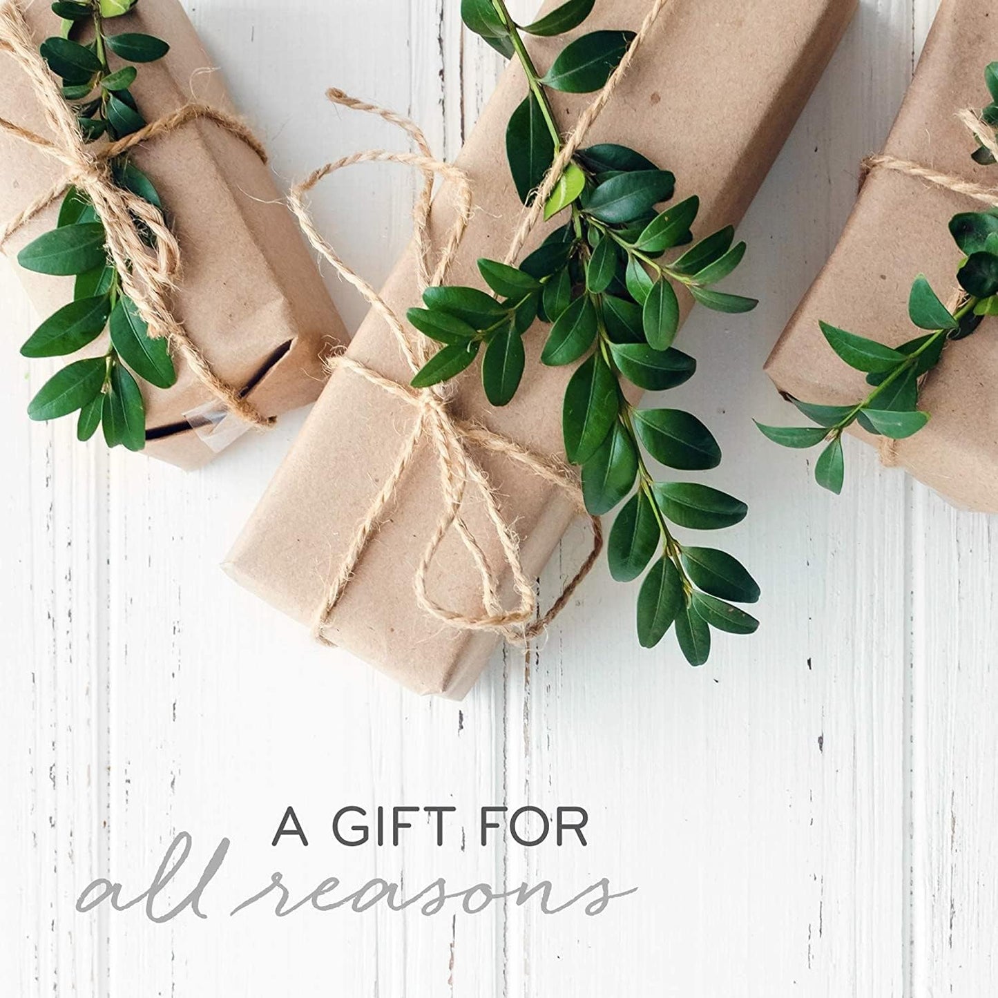 Thymes Frasier Fir Reed Diffuser Set – Includes Reeds, Fragrance Oil, and Frosted Glass Bottle – Fragrance Oil Diffuser – Room Fresheners – Luxury Home Decor – Silver (Statement, 4 fl oz)