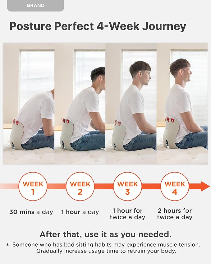 curble Grand(Extra Wide&Sturdy) Cover Set – Ergonomic Back Support Chair with Detachable Cover, Lumbar Support for Posture Correction & Lower Back Pain Relief, Perfect for Home & Office(Set Black)
