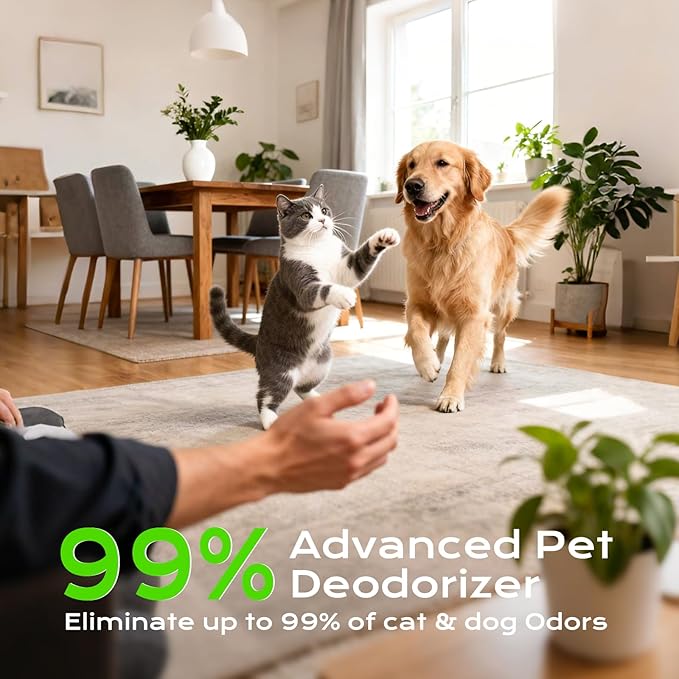 Cat Litter Deodorizer 99% Negative Ion Odor Eliminator, Plug In Filter-free Air Purifier for Pets, Bedroom, Office, Kitchen, Toilet, Wardrobe, Shoe, Garage, Quiet Portable Mini Air Cleaner