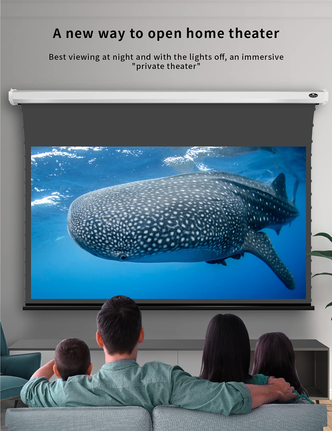 VIVIDSTORM-Office Presentation Tension Screen,White Housing Obsidian Long Focus ALR Motor Tension Drop Down Deluxe Screen,Compatible with Lumen up to 2500ANSI Short Throw Projector,V6JLALR135H