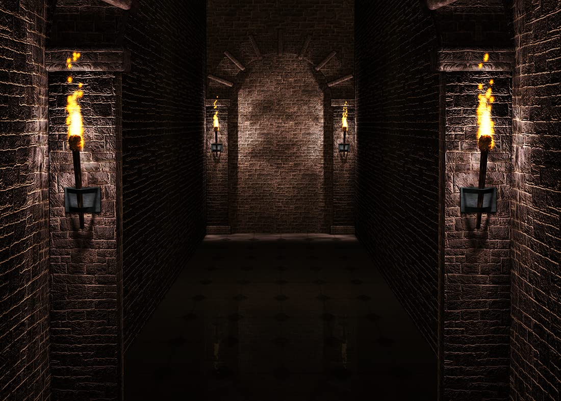 BELECO 7x5ft Fabric Gothic Castle Backdrop Ancient Black Brick Stone Wall Arches Torches Dungeon Medieval Castle Scene Halloween Night Background Medieval Party Decorations Studio Booth Photo Props