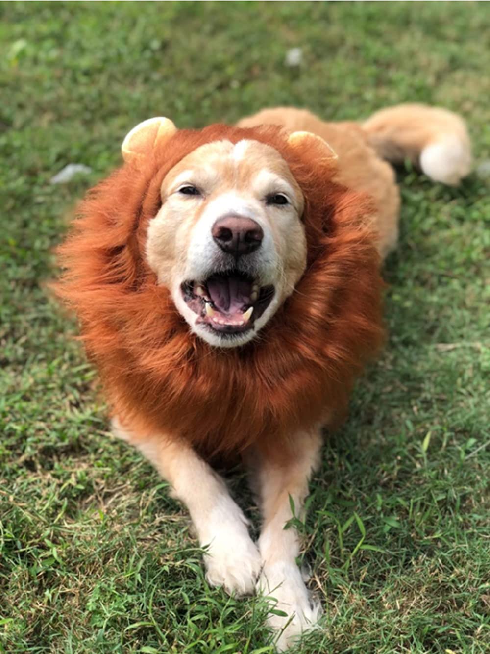 Dog Lion Mane - Halloween Realistic & Funny Lion Mane for Dogs - Complementary Lion Mane for Dog Costumes - Lion Wig for Medium to Large Sized Dogs Lion Mane Wig for Dogs