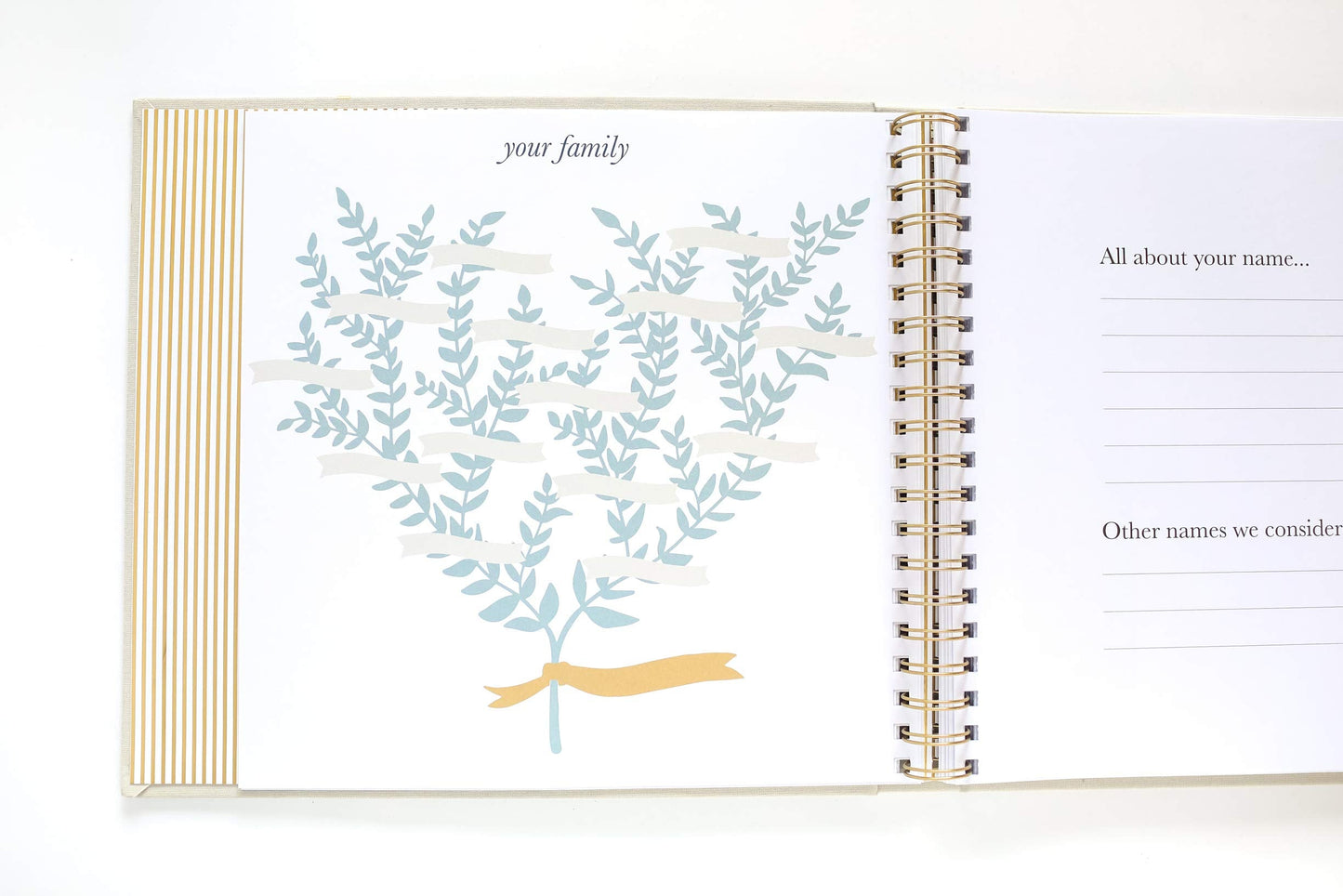 The Baby Memory Book: Beautiful Modern Baby Book and Scrapbook for Baby's First Years to Track Special Moments, Milestones and Growth from Pregnancy to First 5 Years