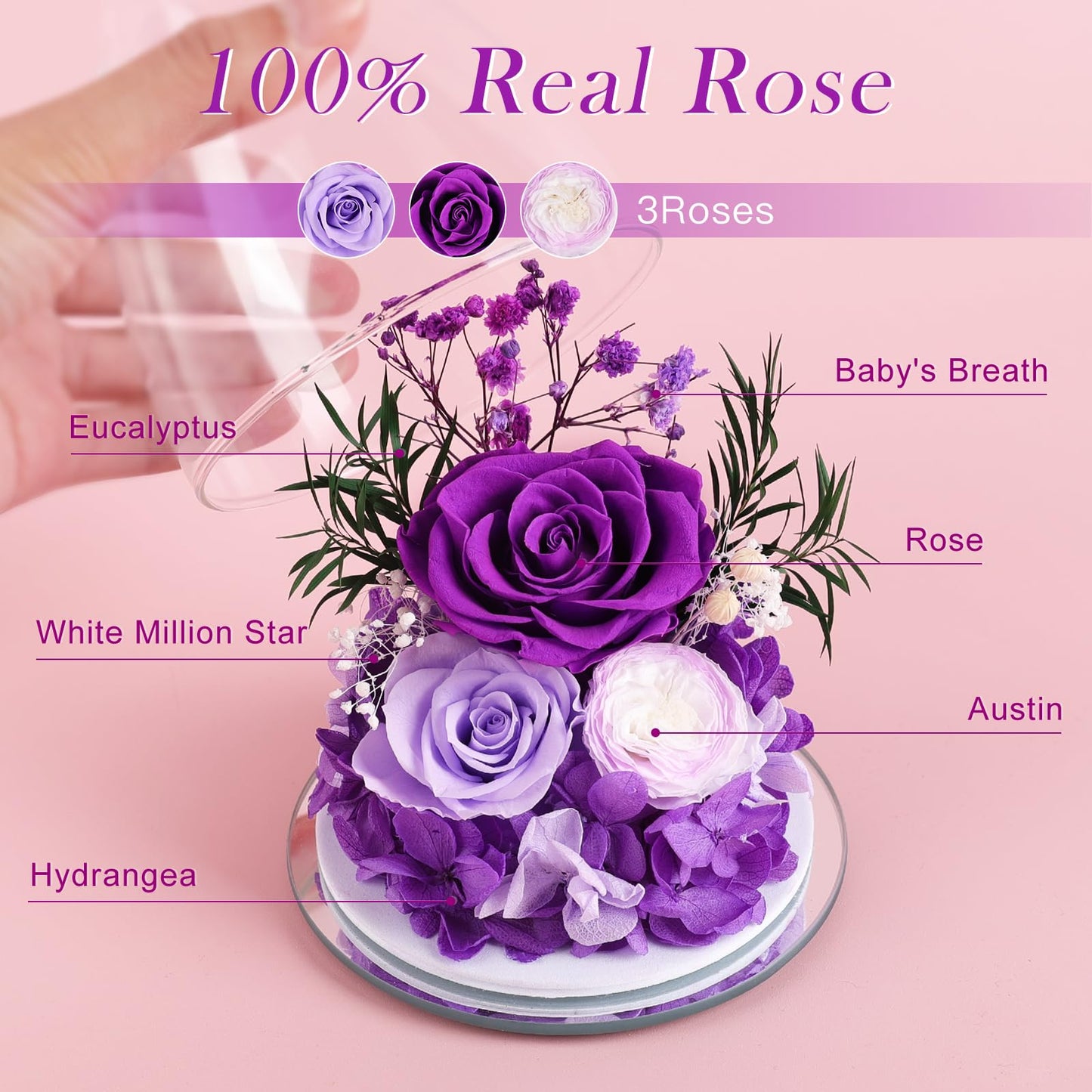 FIACO Gifts for Women Mom Preserved Rose Forever Flower in Glass Angel Figurine Fresh Flowers for Delivery Prime Birthday Gifts for Grandma Wife Sister Christmas Anniversary Eternal Purple Roses