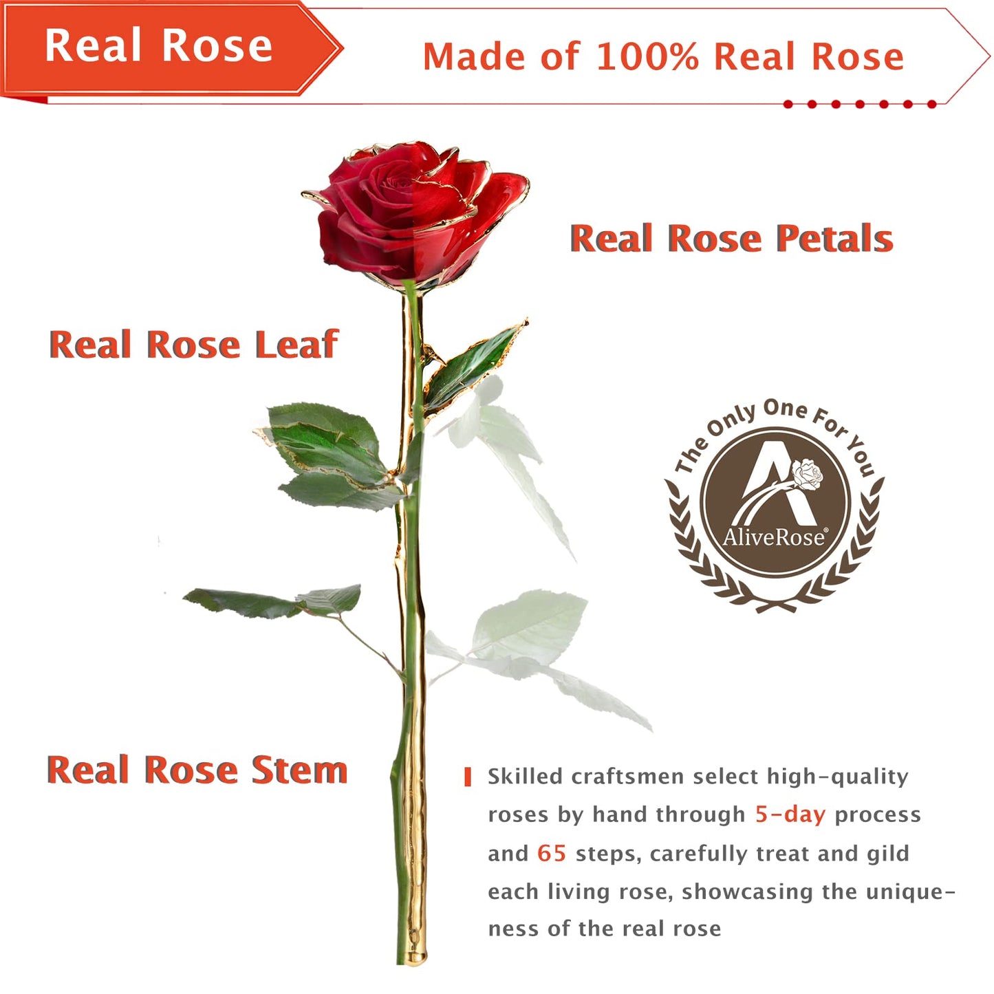 Valentines Day Gift Rose, Long Stem Rose Made from 24K Gold Dipped Real Rose Gift for her Rose(Red with Crystal Vase)