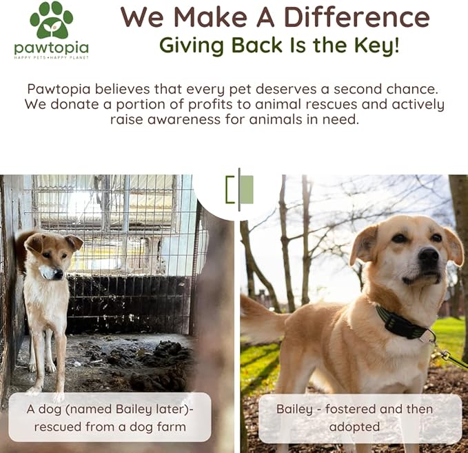 Pawtopia Biodegradable Dog Poop Bags, 60 Count, Certified Home Compostable, Leak-Proof, Easy Open, Standard Size, Supports Sustainable Living