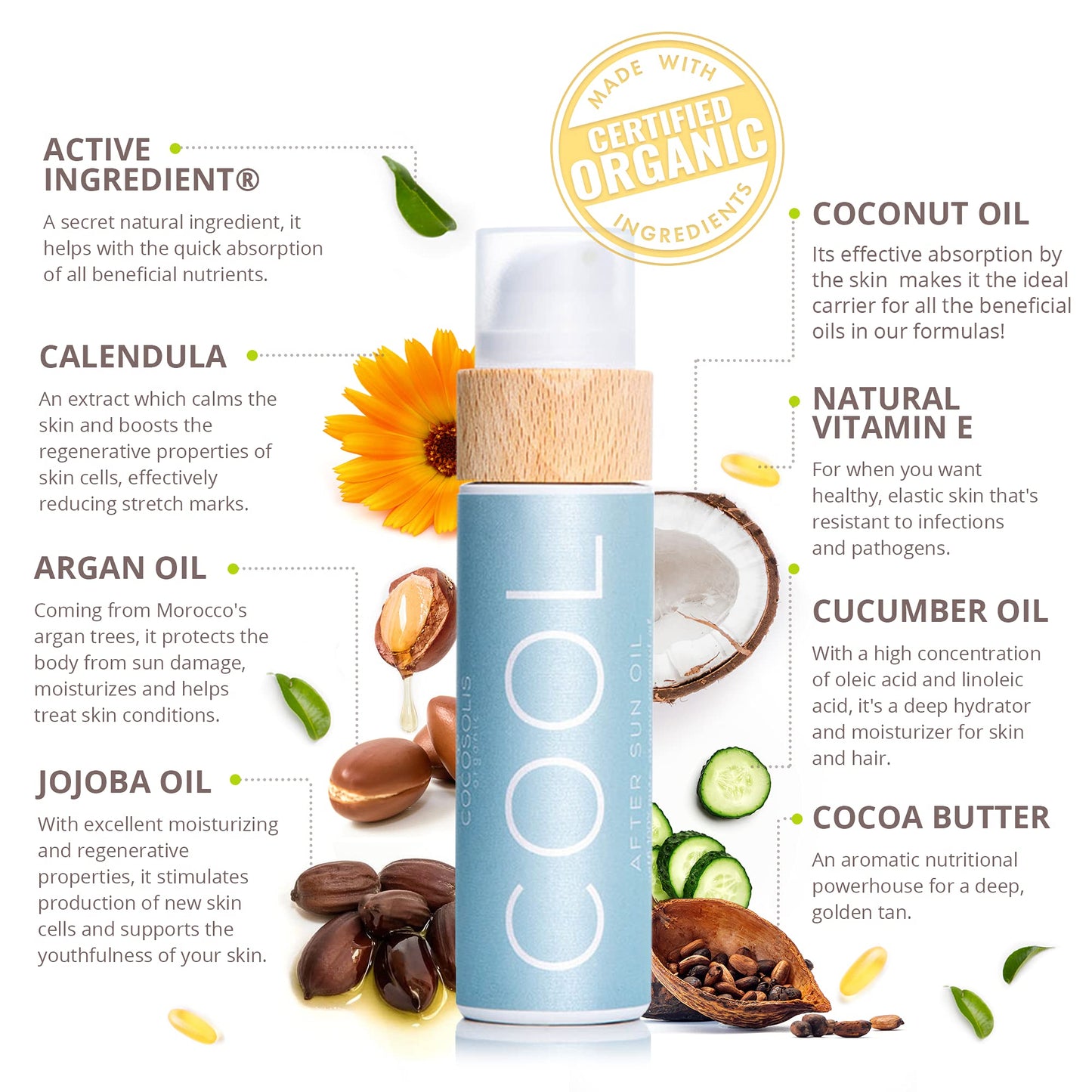 COCOSOLIS COOL After Sun Lotion | Organic After Sun for Tender Hydration & Recovery | Best After Sun Moisturizing Lotion with 9