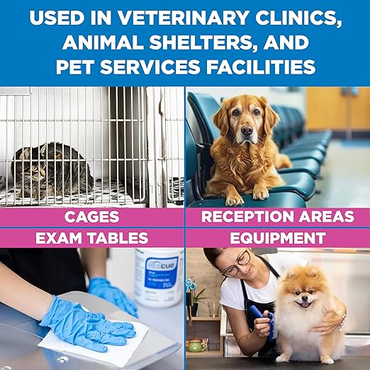 REScue One-Step Disinfectant Cleaner & Deodorizer Wipes for Vet Use – Cleaner for Kennels, Litter Boxes, Vet Offices, Pet Grooming Surfaces – Extra Large Wipes, 160-Count Bucket (1 Pack)