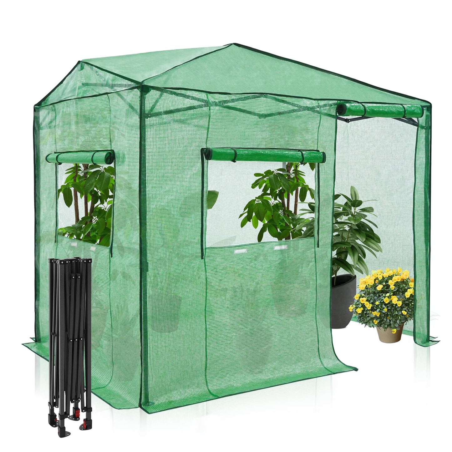 EAGLE PEAK 6x8 Portable Walk in Greenhouse, Pop Up Indoor Outdoor Greenhouse, Green House Kit with Zippered Roll-Up Doors and Windows, Side Door Design, PE Cover, Clear/Green