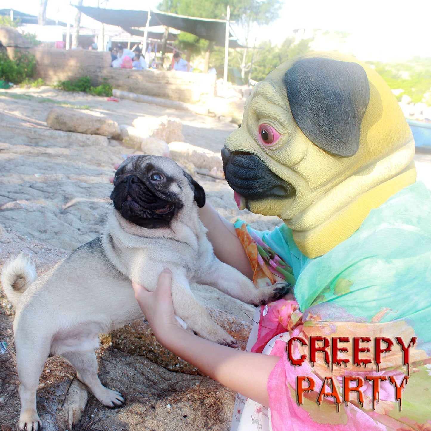 Dog Head Mask Halloween Party Dog Costume Masks Mask Underdog Costume Latex Animal Head Mask (Pug)