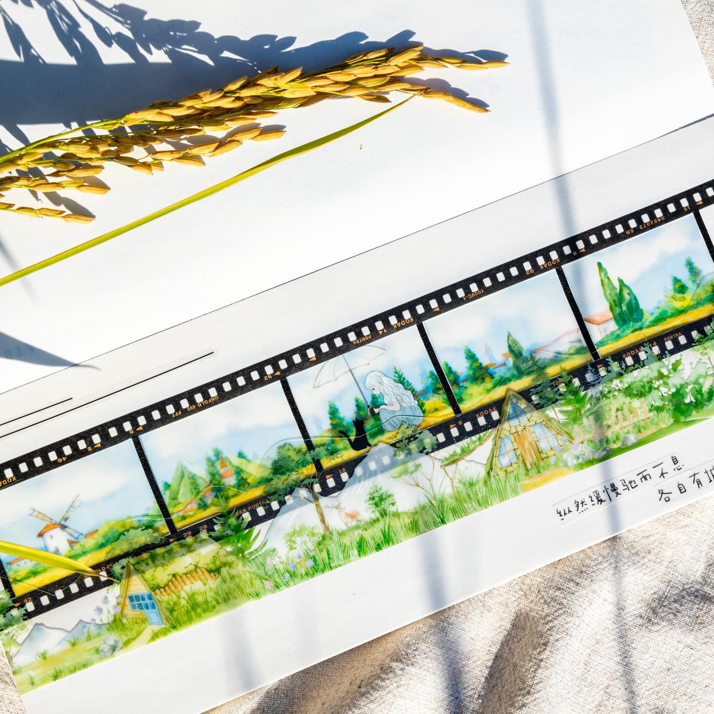 Fairy Tale Countryside PET Tape Set, 6 Rolls Nature-Inspired Stickers for Scrapbooking, Journaling, DIY Crafts, and Art Supplies
