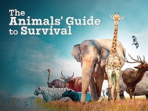 The Animals' Guide to Survival