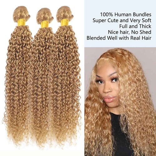 Fabimiya 18 20 22 Inch Human Hair Bundles Honey Blonde 27# Jerry Curly Bundles Human Hair 100% Unprocessed Soft Sewn In Hair with Double Weft for Black Women