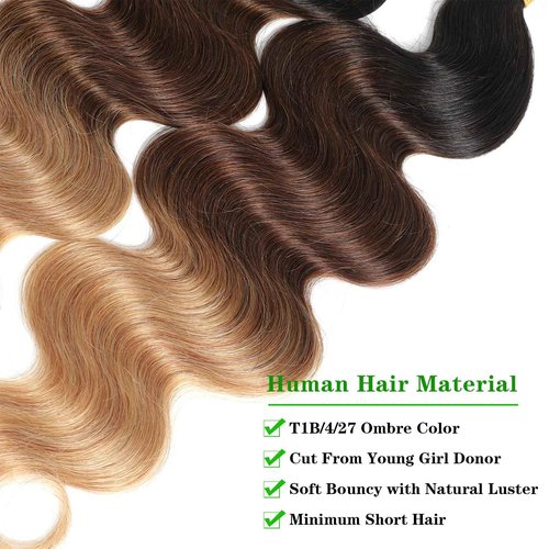 Brazilian Virgin Hair Body Wave Ombre Human Hair 3 Tone, 3 Bundles Ombre Brazilian Hair Extensions (T1B/4/27, 14" 16" 18")