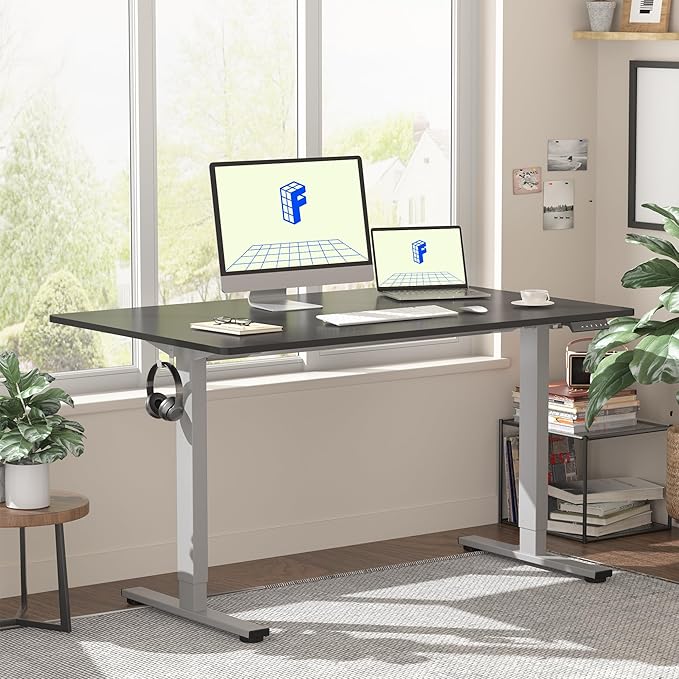 FLEXISPOT EN1 One-Piece Electric Standing Desk 48 x 24 Inches Seamless Seamless Desktop Height Adjustable Desk Stand Up Desks for Home Office (Silver Frame + Black Top, 2 Packages)