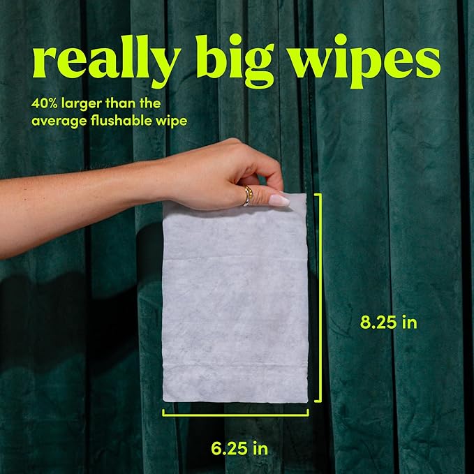 goodwipes Flushable Butt Wipes Made with Vitamin E & Aloe - Soft & Gentle Wet Wipe Dispenser for Home Use, Septic & Sewer Safe - Largest Adult Toilet Towelettes - Variety Pack, 240 Count (4 Packs)