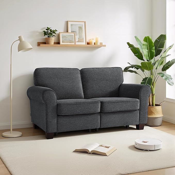 MCombo 67.7" Loveseat Sofa, 2-Seater Small Couch for Small Spaces, Classic Rolled Arm Upholstered Sofa with Solid Wood Legs for Living Room, Removable Cover, Chenille Fabric VE730 (Dark Grey)