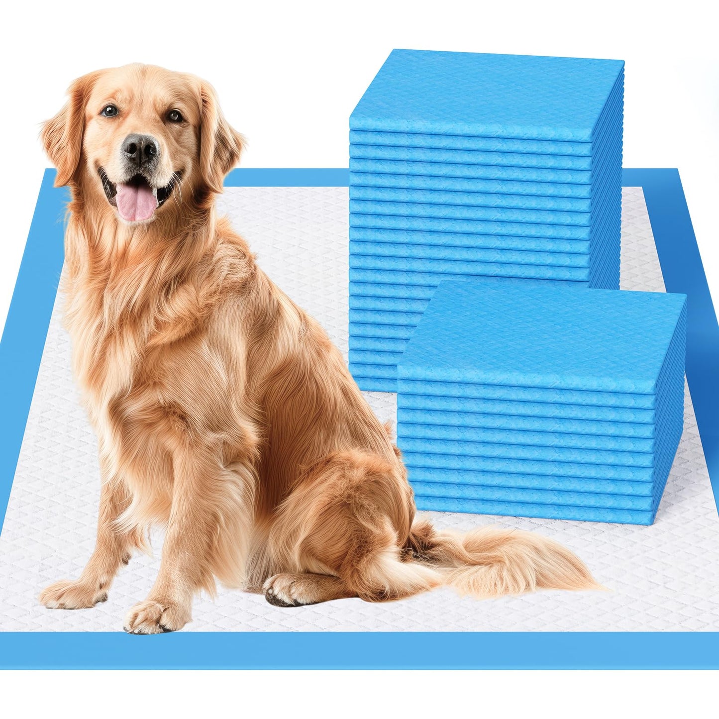 JollyMate Dog Pee Pads Extra Large 36"x36", X-Large Puppy Training Pads with Adhesive Tabs, 6 Layers Thick, Super Absorbent, Leak-Proof, Quick-Dry, Potty Pads for Dogs and Puppies (30 Count)