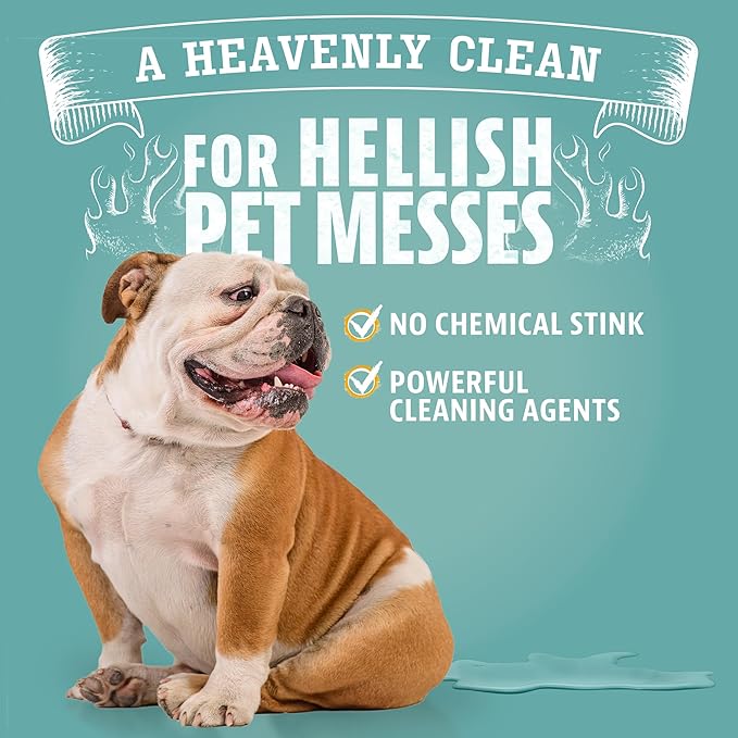ANGRY ORANGE Foaming Carpet & Upholstery Cleaner for Dog Urine and Stains - Citrus - 24 oz