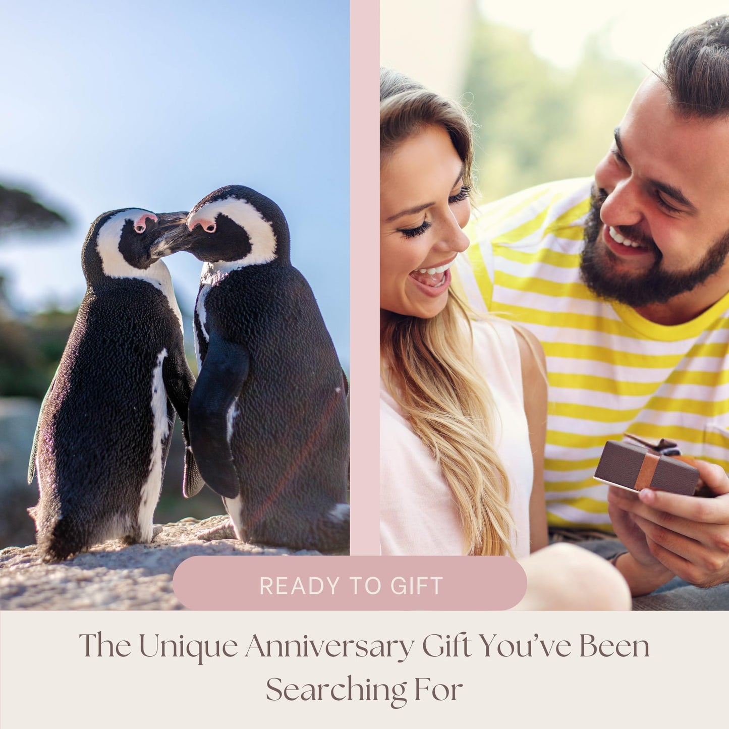 Wedding Anniversary Penguin Pebble Gift - Years Down, Forever to Go” Card & Happy Anniversary Box – Unique Gift for Husband, Wife, Boyfriend, Girlfriend – 1st 10th 25th 50th