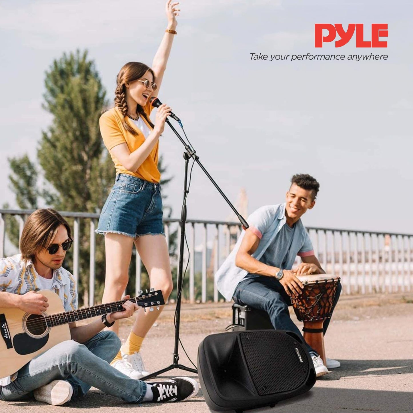 Pyle 800W Portable Bluetooth Pa Speaker - 8 Subwoofer, Led Battery Indicator Lights W/ Built-In Rechargeable Battery, Mp3/Usb/Sd