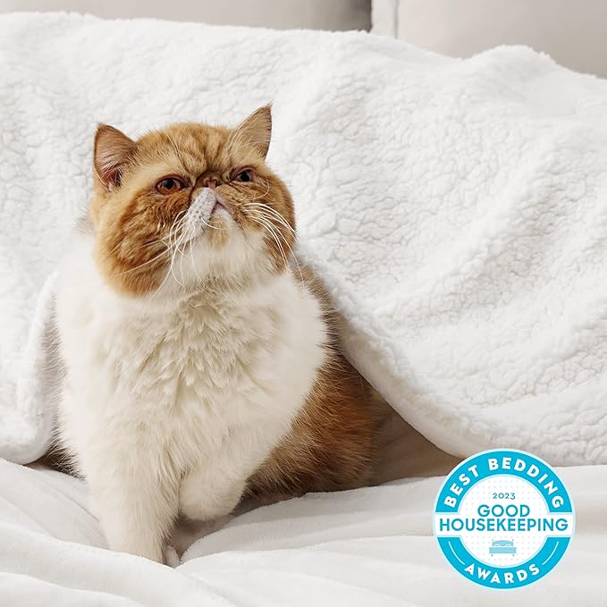 Bedsure GentleSoft Sherpa Fleece Throw Blanket for Couch - Thick and Warm Throw for Women and Men, Soft Fuzzy Plush Blanket for Winter, Non-Heated, White, 50x60 Inches