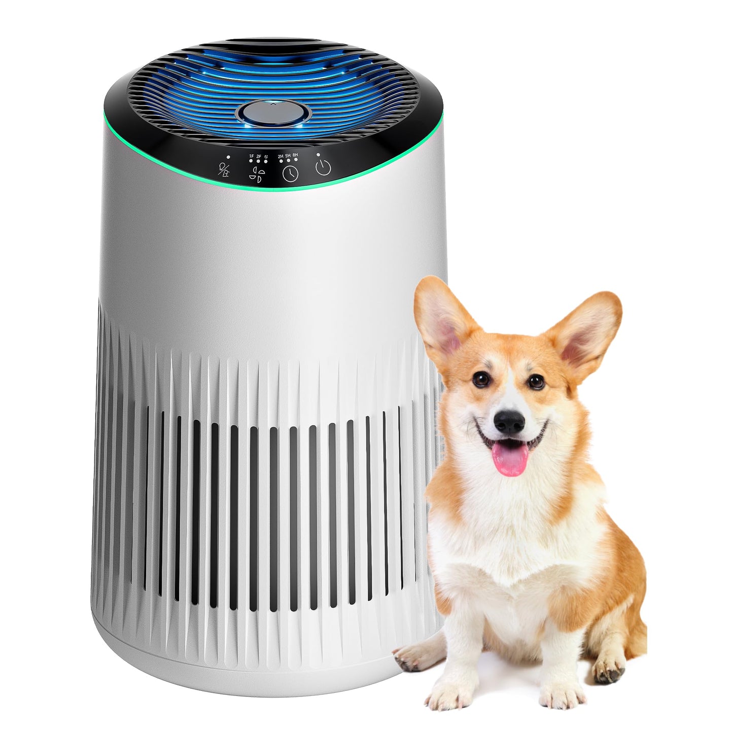 Meronte Air Purifiers For Bedroom Home, Air Purifier For Smoke Odors With Fragrance Sponge, Small Air Purifier With Sleep Mode F
