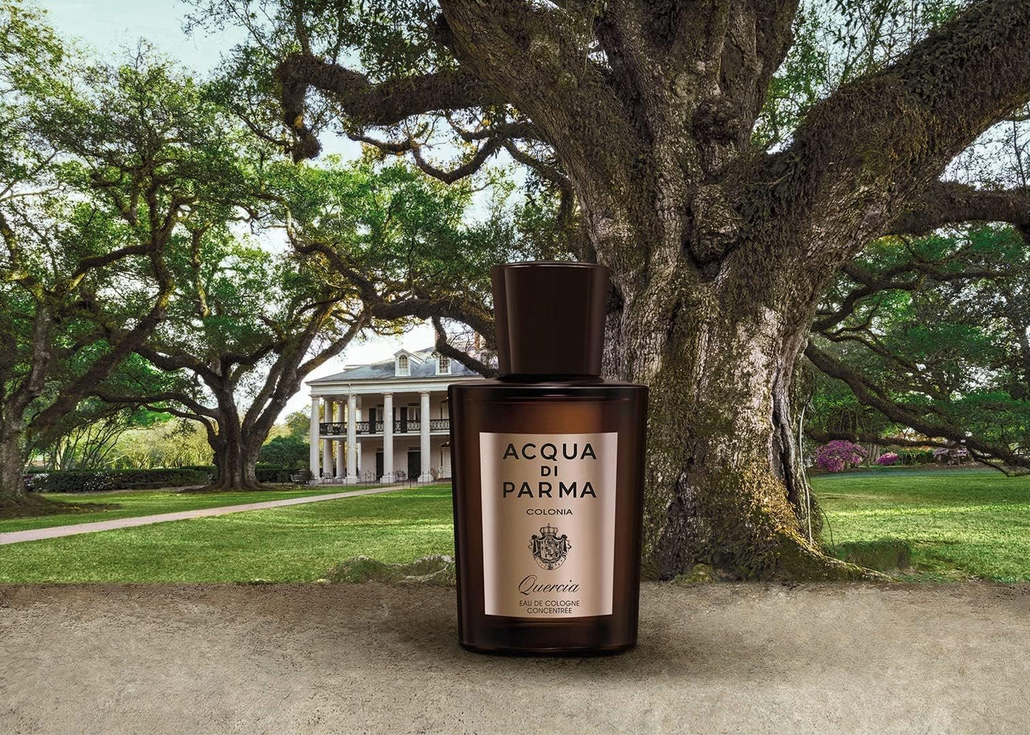 Acqua Di Parma Colonia Quercia Eau De Cologne Concentree Spray 100ml/3.4oz
