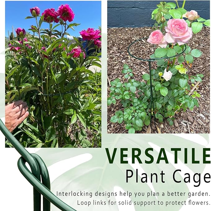 Soupiar 6 Pack Detachable & Assemblable Metal Plant Support Stakes - Garden Support Ring, Tomato Seedling Cage, Young Monstera/Pothos for Growing Indoor/Outdoor (10" W x 16" H)