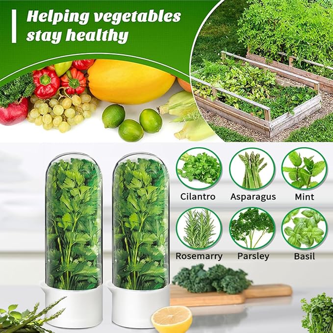 Cilantro Container for Fridge, Herb Saver for Refrigerator - Fresh Herb Keeper for Cilantro, Basil, Asparagus, Parsley, Keeps Greens Vegetables for 2-3 Weeks