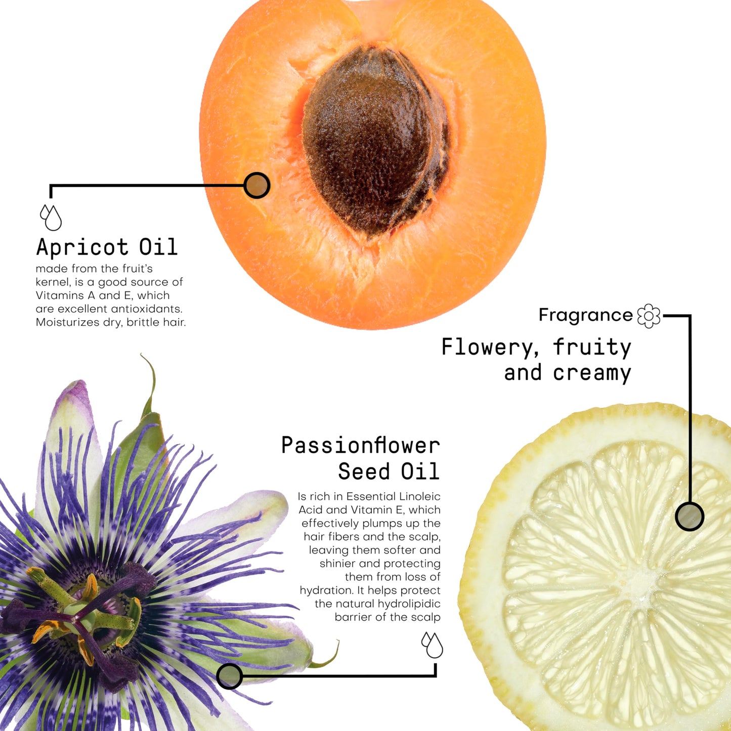 FRAMESI Morphosis Sublimis Hair Oil Serum, Hydrating Hair Treatment