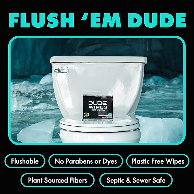DUDE Wipes On-The-Go Flushable Wipes - 1 Pack, 30 Count - Mint Chill Extra-Large Individually Wrapped - with Eucalyptus & Tea Tree Oil - Septic and Sewer Safe