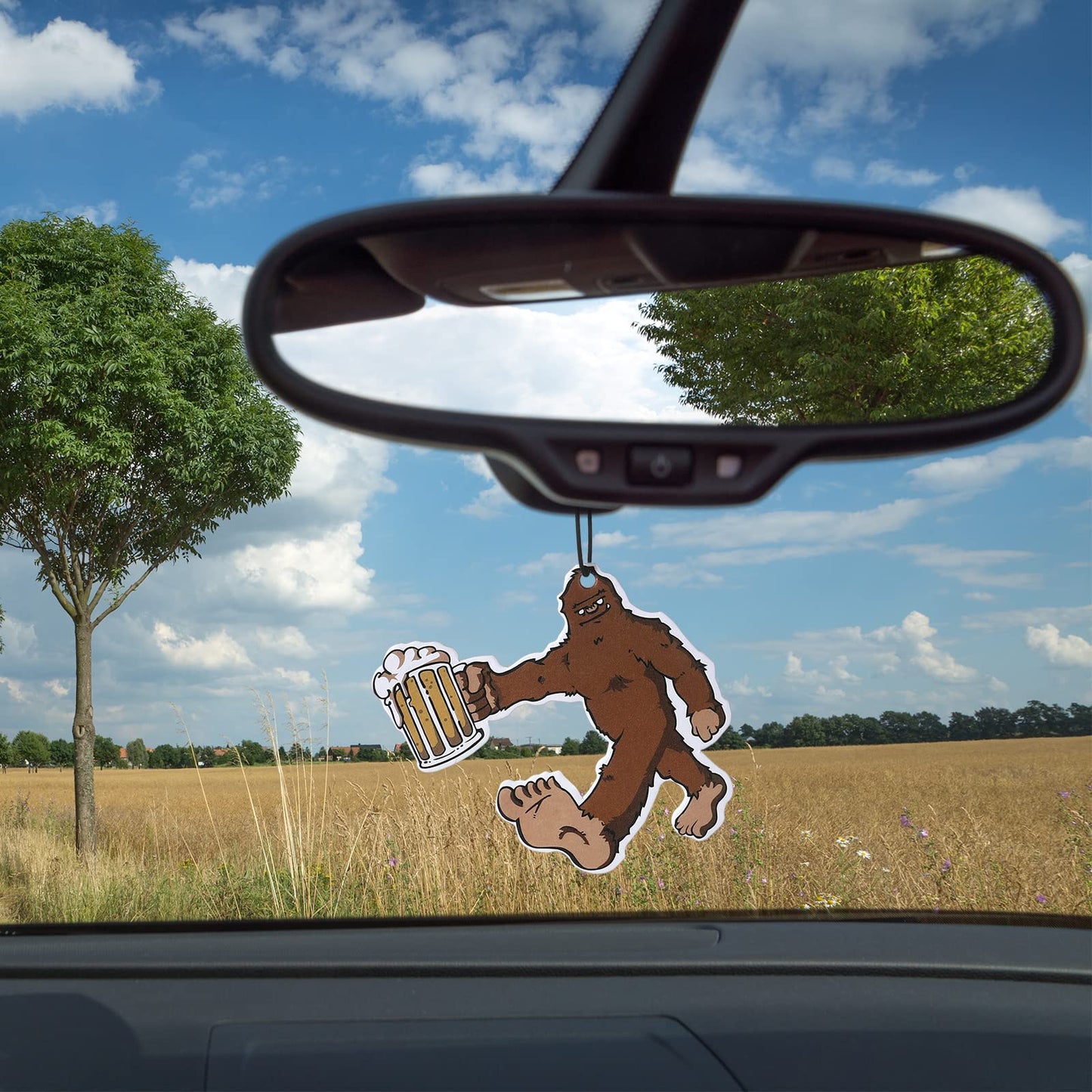 Frienda 5 Pieces Funny Car Fresheners for Men Hanging Truck Air Fresheners Car Accessories Ideal Gift for Birthday, father's day Christmas Stocking Stuffers