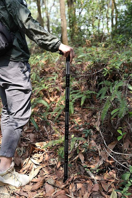 aiGear Premium Walking Hiking Stick and Anti Skid Rubber Tips