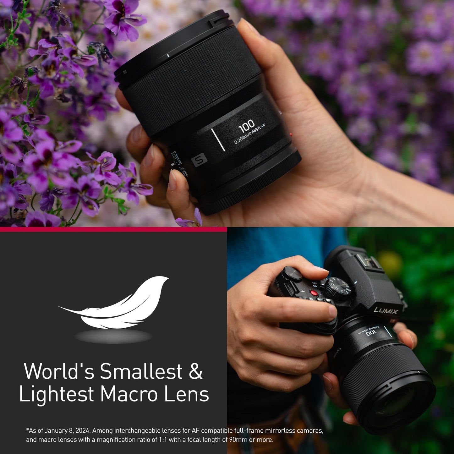 Panasonic LUMIX Full Frame Camera Lens, S 100mm F2.8 Macro - S-E100J