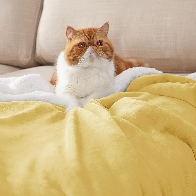 Bedsure GentleSoft Sherpa Fleece Throw Blanket for Couch - Thick and Warm Throw for Women and Men, Soft Fuzzy Plush Blanket for Winter, Non-Heated, Yellow, 50x60 Inches