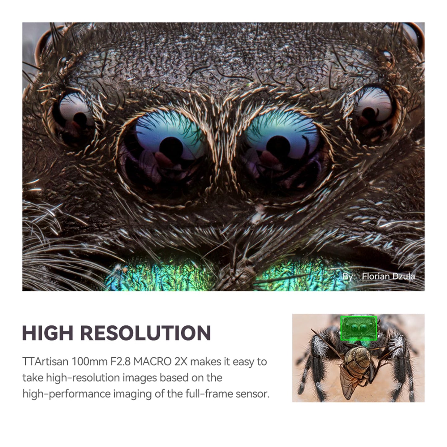 TTArtisan 100mm F2.8 2X Macro, Full Frame Lens 2X Magnification for E-Mount Mirrorless Cameras A7IV A7RIV A7RV A7SIII A7C A9II A1 A6400 A6600 NEX-7 NEX-5T NEX-5R NEX-5N NEX-3N